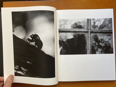 平林達也写真集『蝉時雨』2