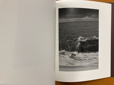 荒井信雄写真集 『幻影 原生林—屋久島』4