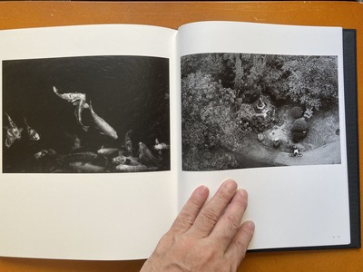 平林達也写真集『蝉時雨』5