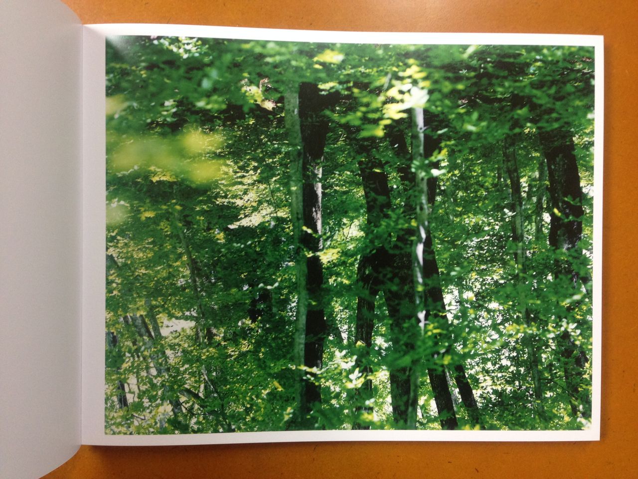 鈴木理策写真集『Water Mirror』 (Case Publishing、2017年9月発行