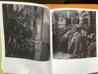 篠田烈写真集『温室』4