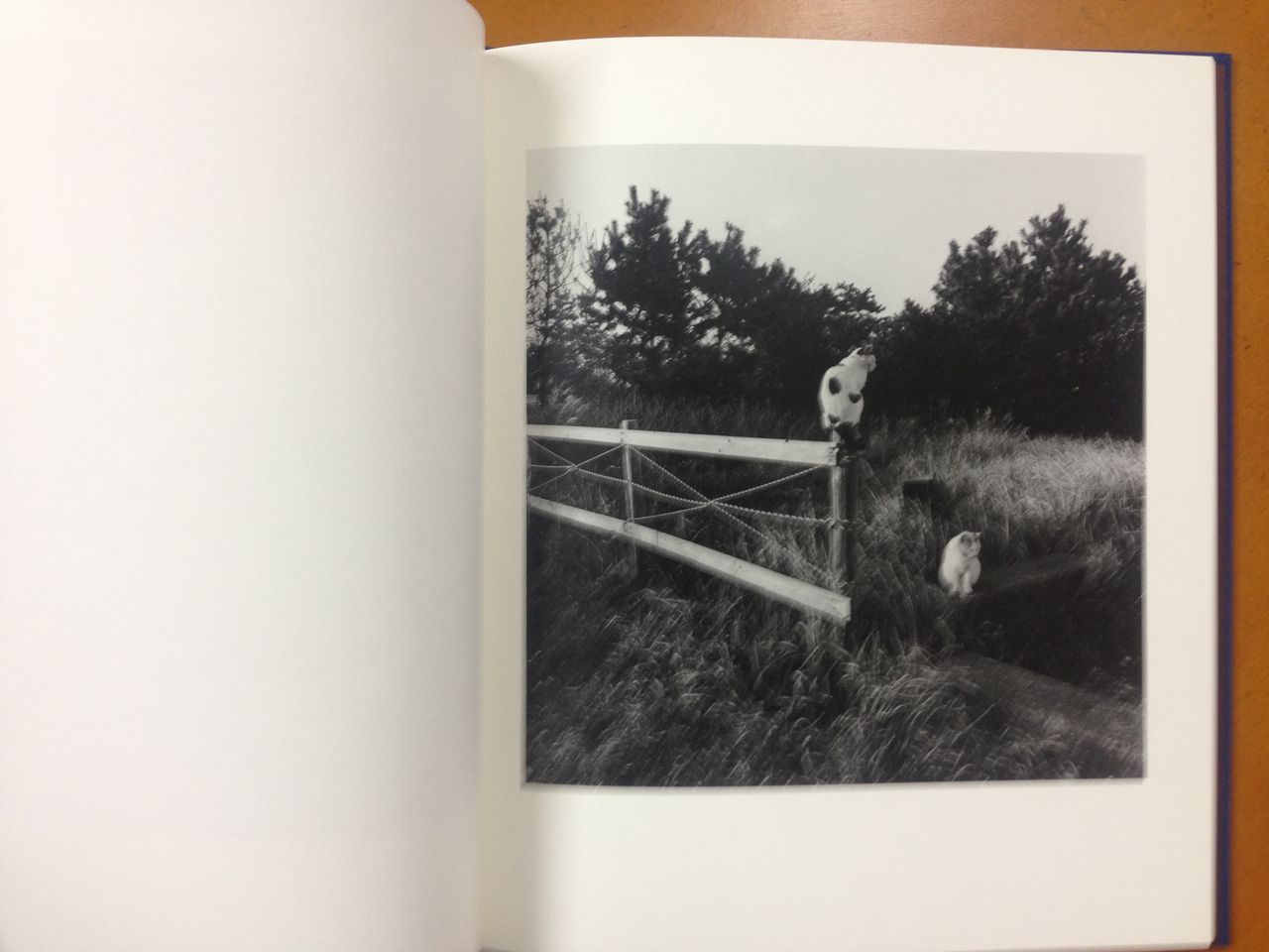 堀川仁写真集 三保 蒼穹舍 18年6月3日発行 蒼穹舎 書肆蒼穹舎 堀川仁写真集 三保 蒼穹舍 18年6月3日発行 蒼穹舎 書肆蒼穹舎