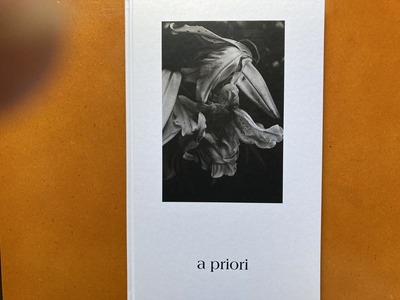 真月洋子写真集『a priori』
