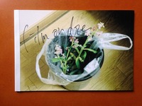 鈴木育郎+石毛優花写真集『film or die』