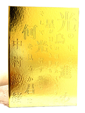 中村綾緒写真集『光の中を進め』