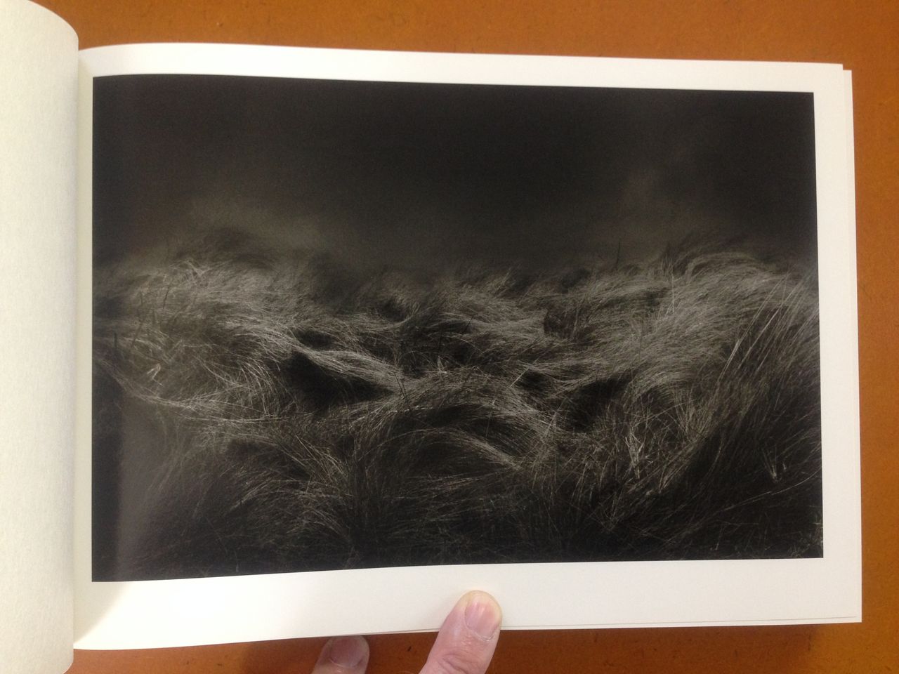 猪瀬光写真集『猪瀬光全作品』 (月曜社、2015年3月31日発行