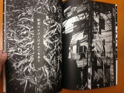 I内田美紗&森山大道『鉄砲百合の射程距離』4