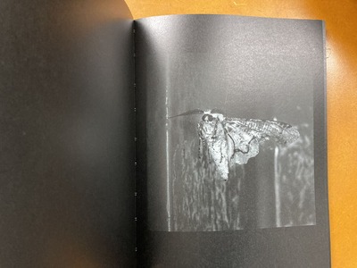 有元伸也写真集『Tokyo Debugger』3