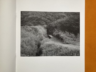 土佐和史写真集『THE SUNLIGHT TOURS I』1