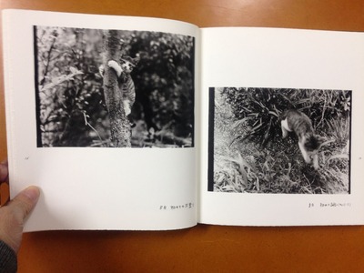 深瀬昌久写真集『Afterword』3