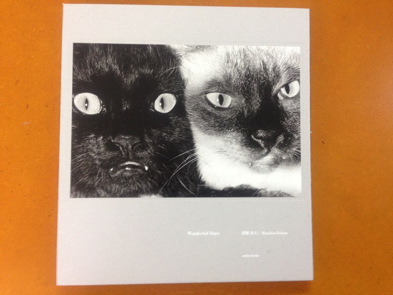 深瀬昌久写真集『Wonderful Days』 (roshin books、2015年7月21