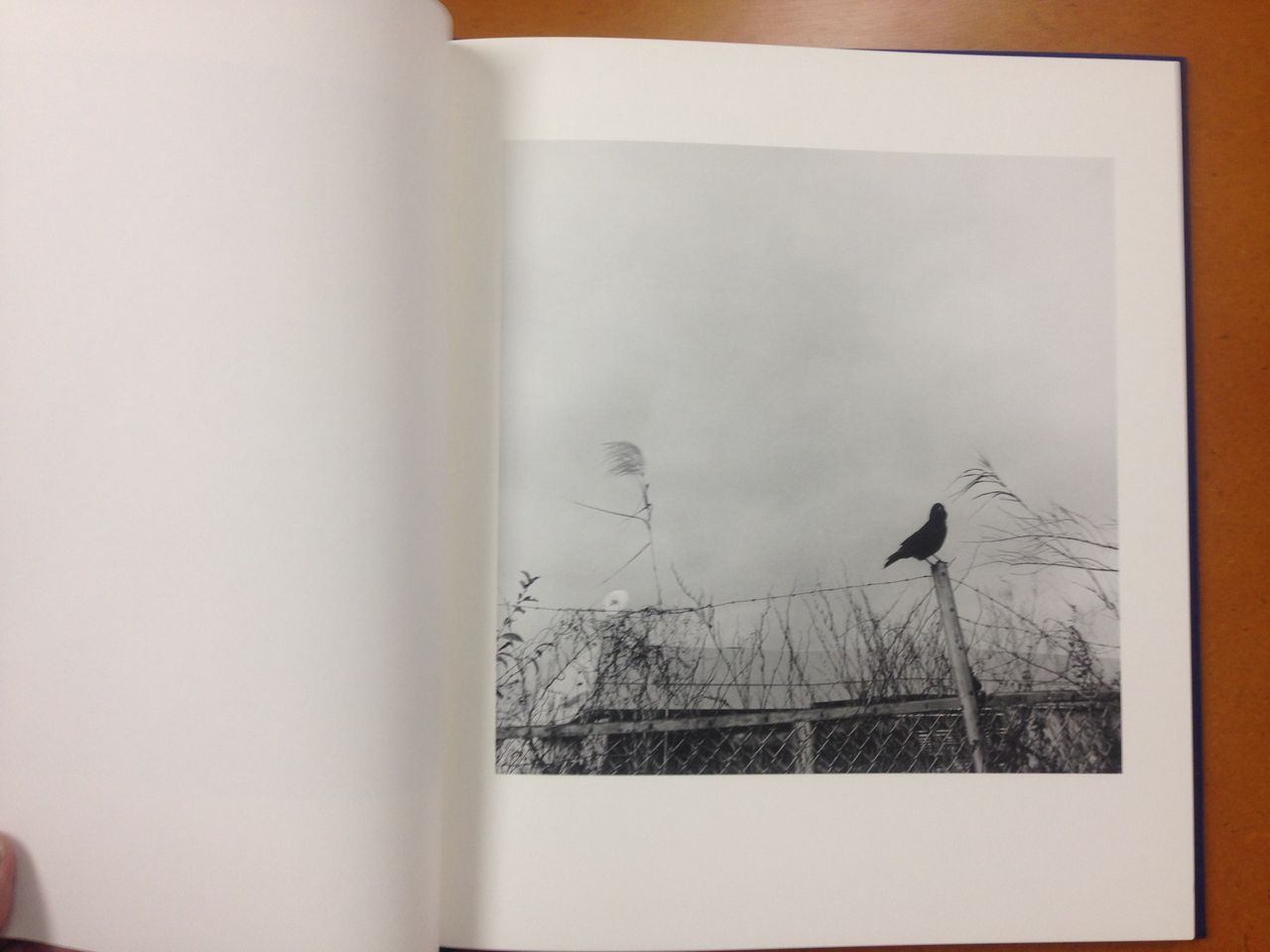 堀川仁写真集 三保 蒼穹舍 18年6月3日発行 蒼穹舎 書肆蒼穹舎 堀川仁写真集 三保 蒼穹舍 18年6月3日発行 蒼穹舎 書肆蒼穹舎