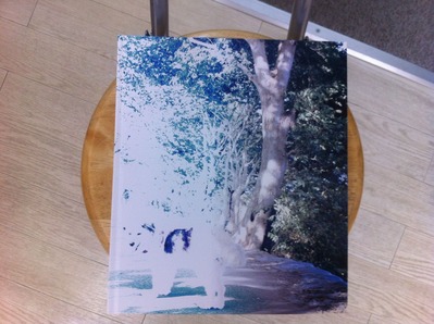 多々良栄里写真集『さようであるならば』