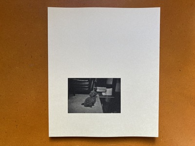 千葉雅人写真集『小さい犬』