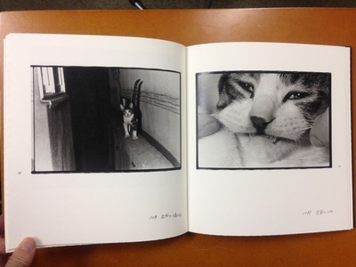 深瀬昌久写真集『Afterword』4
