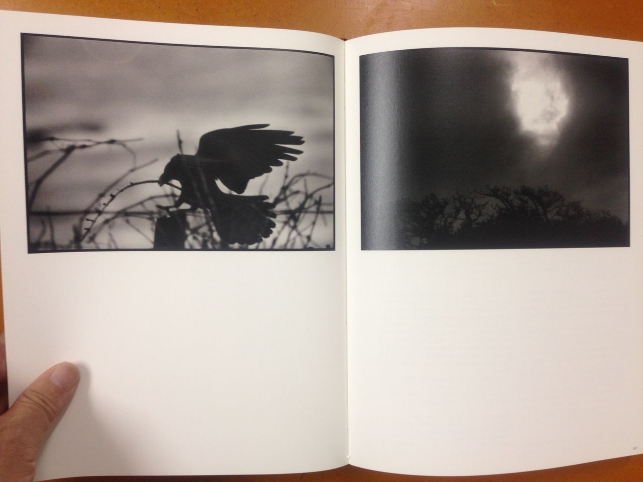 MASAHISA FUKASE 深瀬昌久 赤々舎 写真集 Masahisa Fukase - 深瀬昌久 | shashasha 写々者 - 写真集と