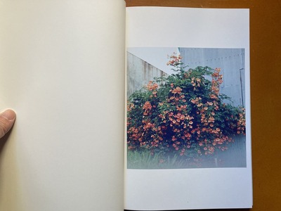 柿崎真子 写真集 『音のはじまり』1