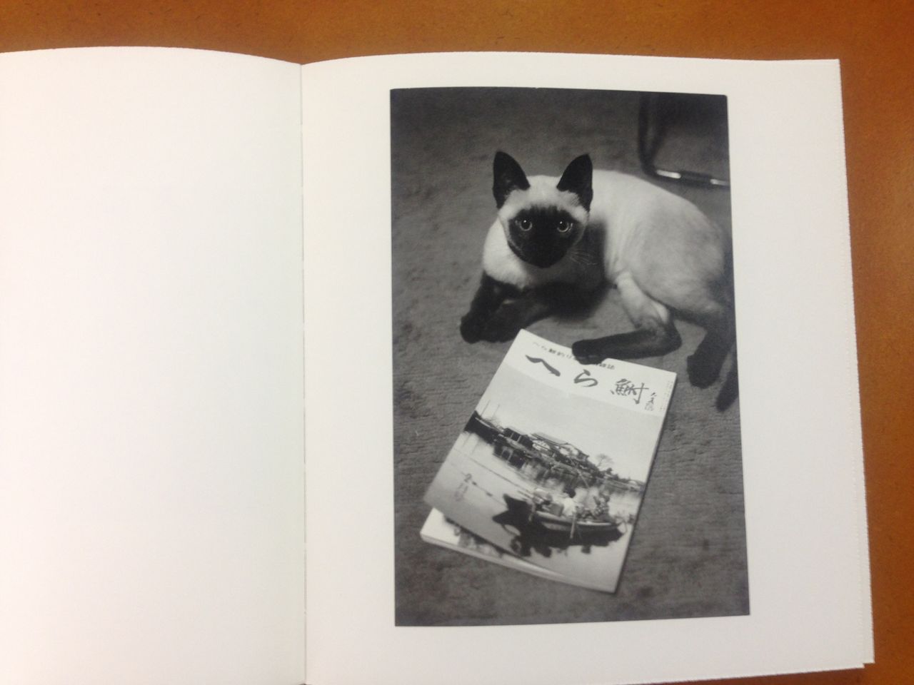 深瀬昌久写真集『Wonderful Days』 (roshin books、2015年7月21