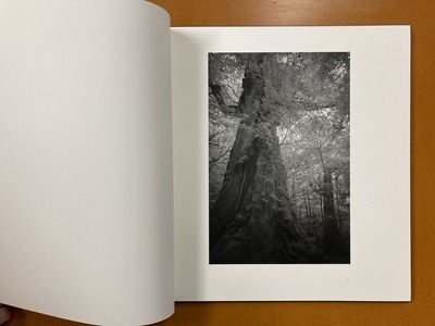 荒井信雄写真集 『幻影 原生林—屋久島』1