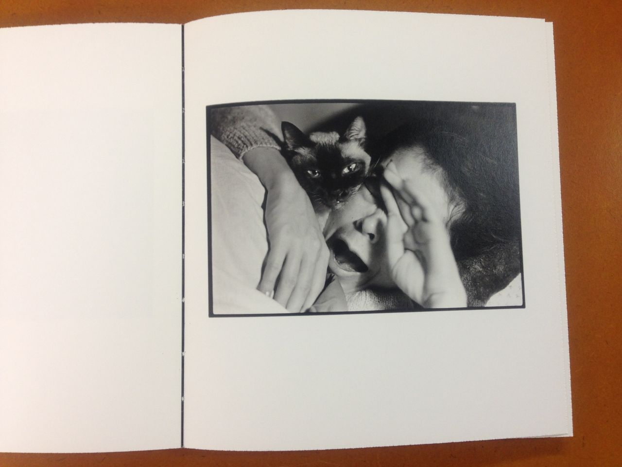 深瀬昌久写真集『Wonderful Days』 (roshin books、2015年7月21