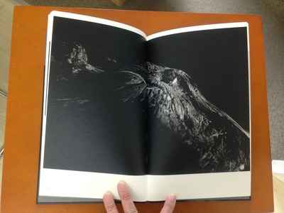 真月洋子写真集『a priori innerplants』3
