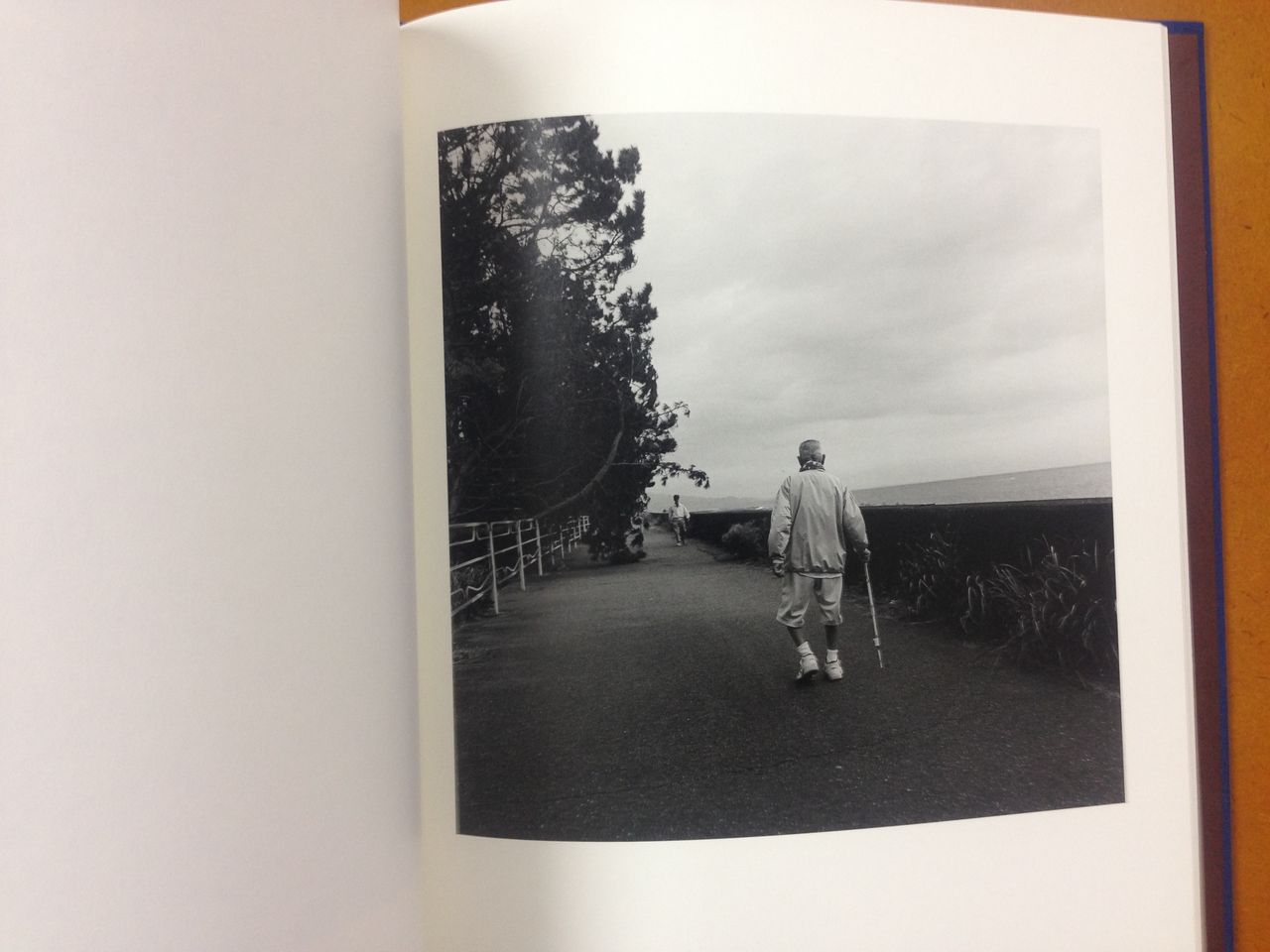 堀川仁写真集 三保 蒼穹舍 18年6月3日発行 蒼穹舎 書肆蒼穹舎 堀川仁写真集 三保 蒼穹舍 18年6月3日発行 蒼穹舎 書肆蒼穹舎