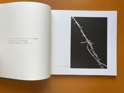 鈴木知之写真集『MonoriuM』1