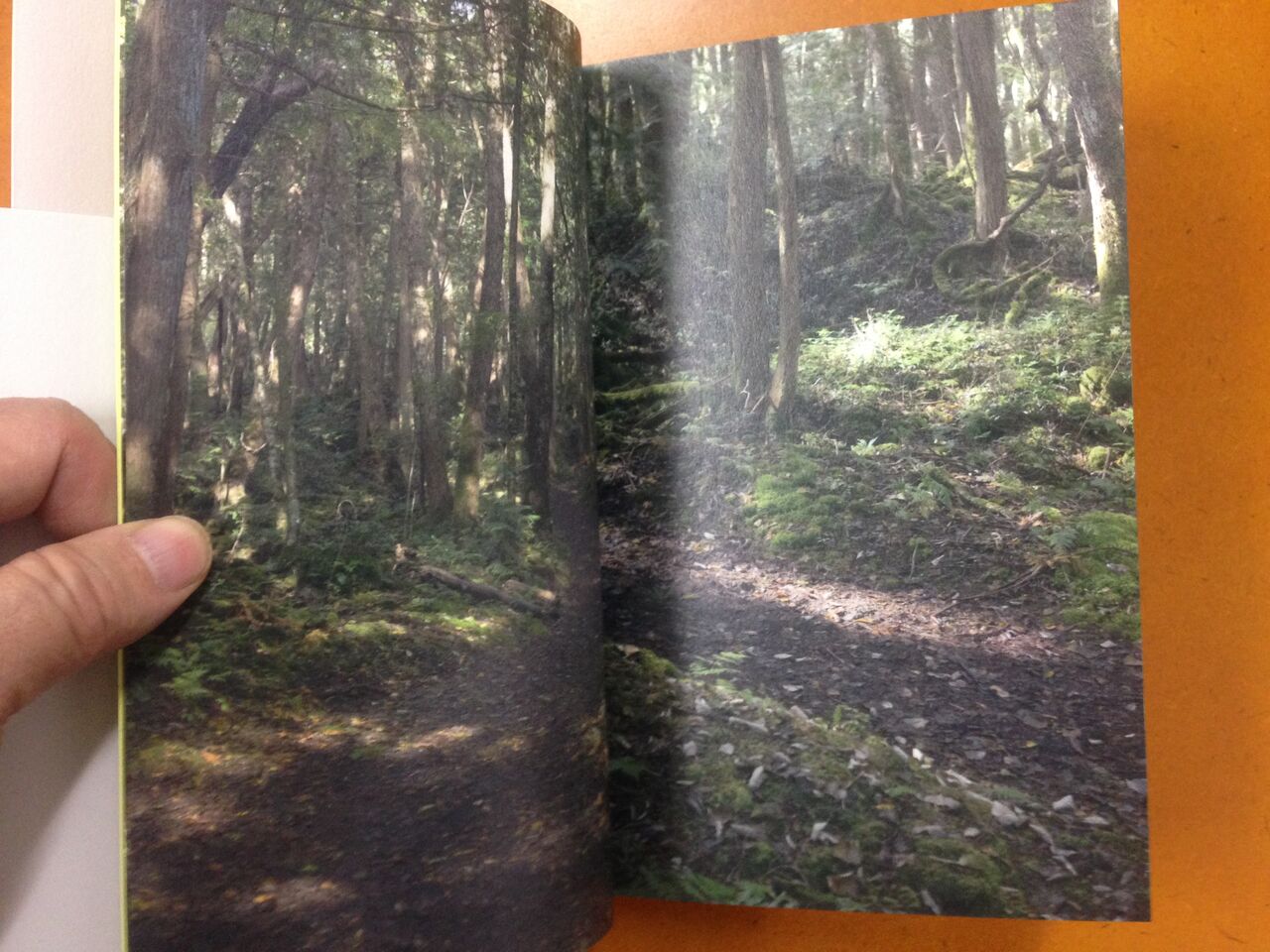北井一夫写真集 道 - ノースブックセンター