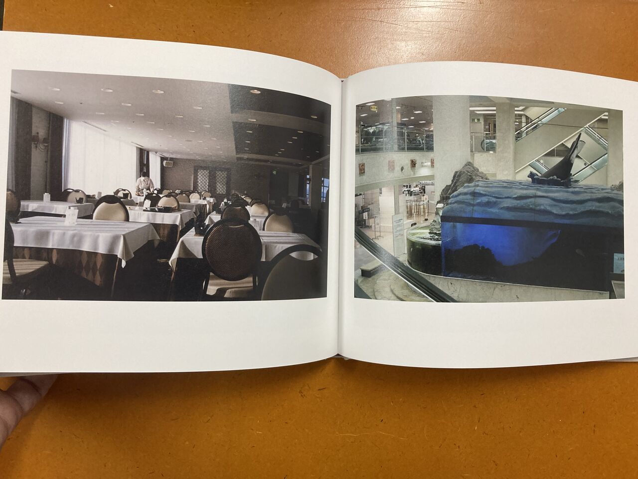 宮本あずさ写真集 ルスカスの花 Graf Publishers 22年9月日発行 蒼穹舎 書肆蒼穹舎 宮本あずさ写真集 ルスカスの花 Graf Publishers 22年9月日発行 蒼穹舎 書肆蒼穹舎