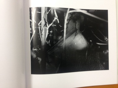 森下大輔写真集『Shadows of Light』3