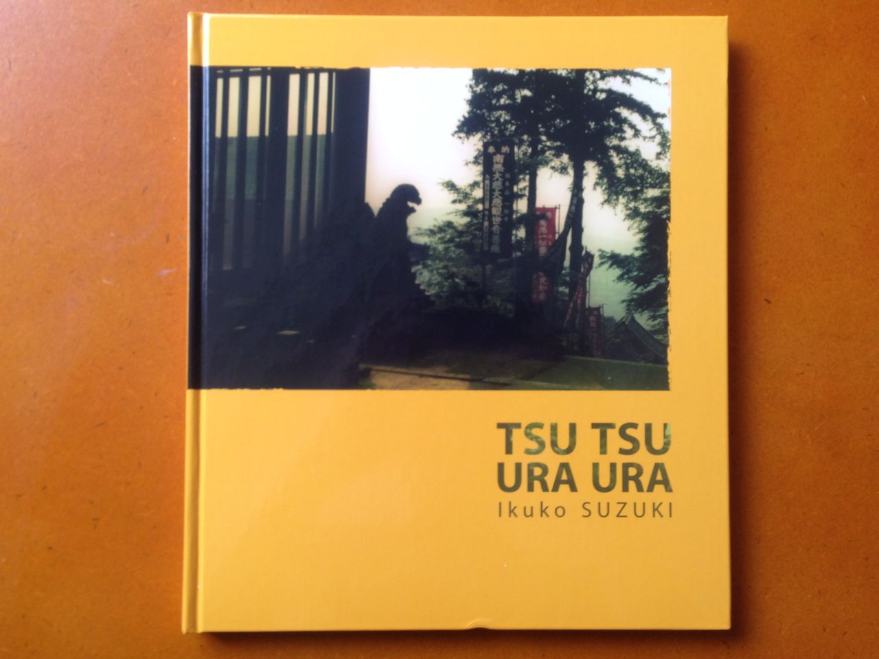 鈴木郁子写真集 Tsu Tsu Ura Ura Kaido Books 15年11月発行 蒼穹舎 書肆蒼穹舎 鈴木郁子写真集 Tsu Tsu Ura Ura Kaido Books 15年11月発行 蒼穹舎 書肆蒼穹舎