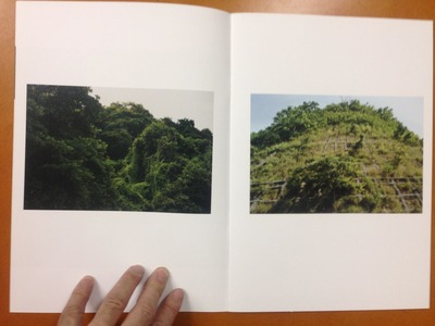 伊藤昭一「迷鳥+ 7号 叢草」2