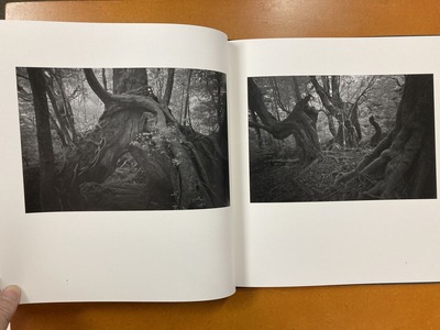 荒井信雄写真集 『幻影 原生林—屋久島』2
