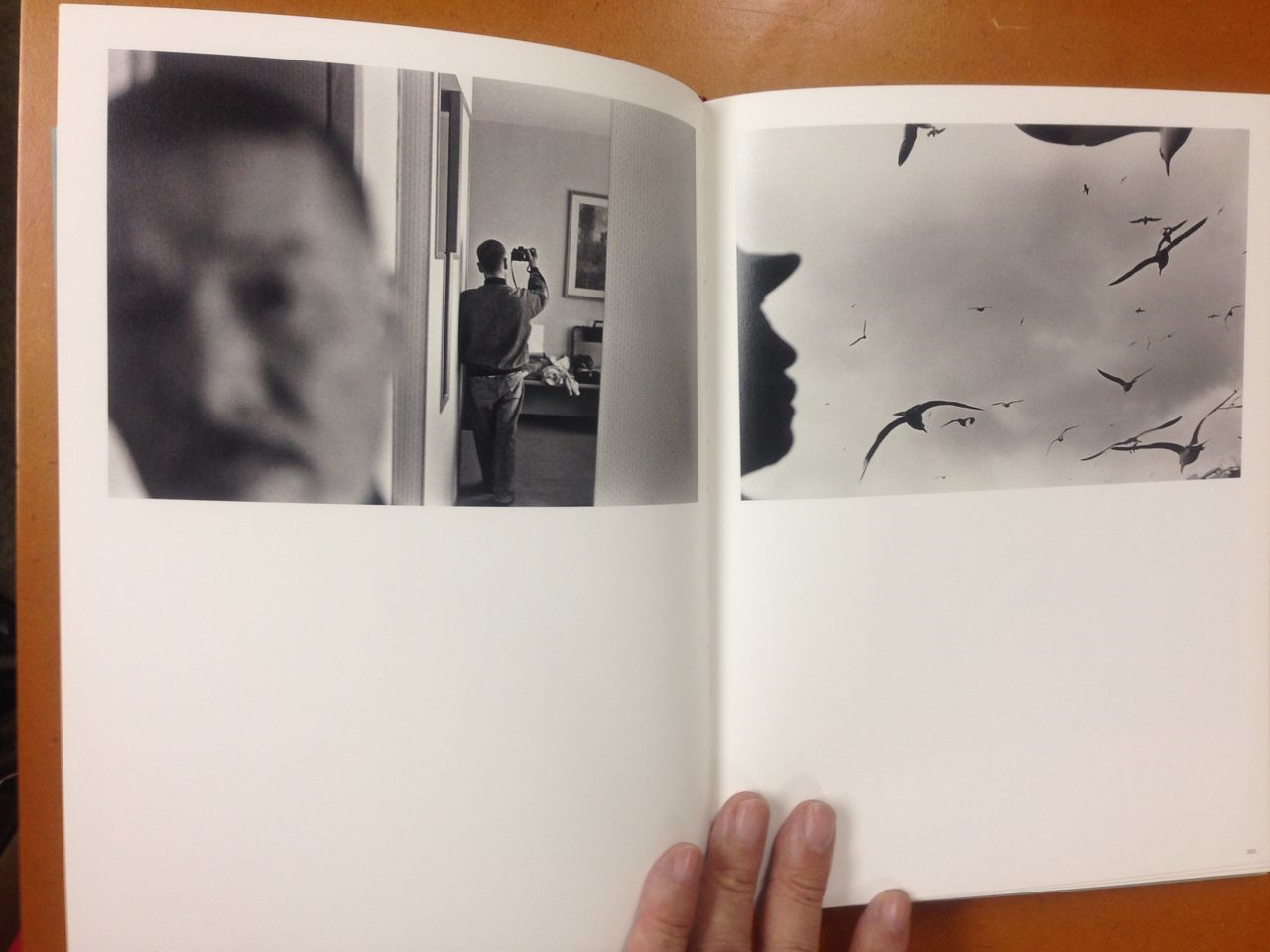 深瀬昌久写真集『MASAHISA FUKASE』 (赤々舎、2018年9月13日発行