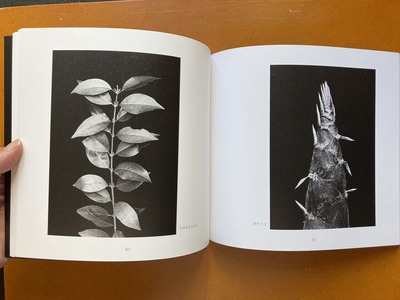 鈴木知之写真集『MonoriuM』3