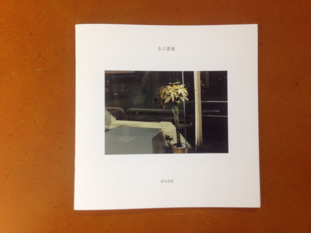 鈴木美保写真集 冬の薔薇 私家版 15年2月23日発行 蒼穹舎 書肆蒼穹舎