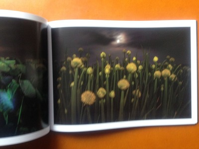 松本コウシ写真集『真夜中のエーテル』4