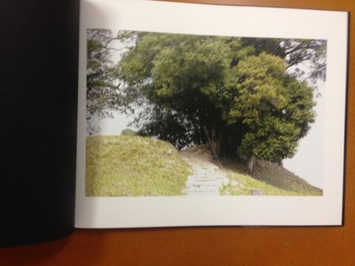 Abe Mariko写真集『Voice of a bird』1