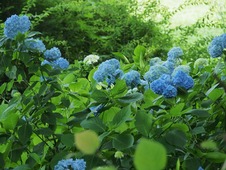 P6050090