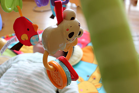 【美品※使用回数少】ベビーどうぶつえん デラックスジム&メリー Fisher-Price Amazon.co.jp: フィッシャープライス ベビーどうぶつえん デラックス