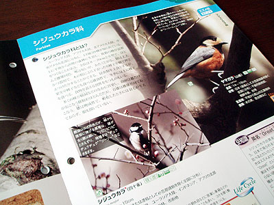 DeAGOSTINI - 週刊 野鳥の世界 : sola JOURNAL (β版) DeAGOSTINI - 週刊 野鳥の世界 : sola JOURNAL (β版)