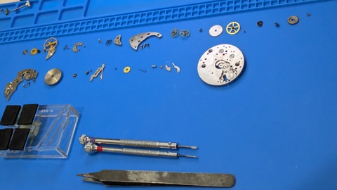 PXL_20260213_124544566