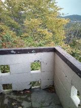 56c66498.jpg