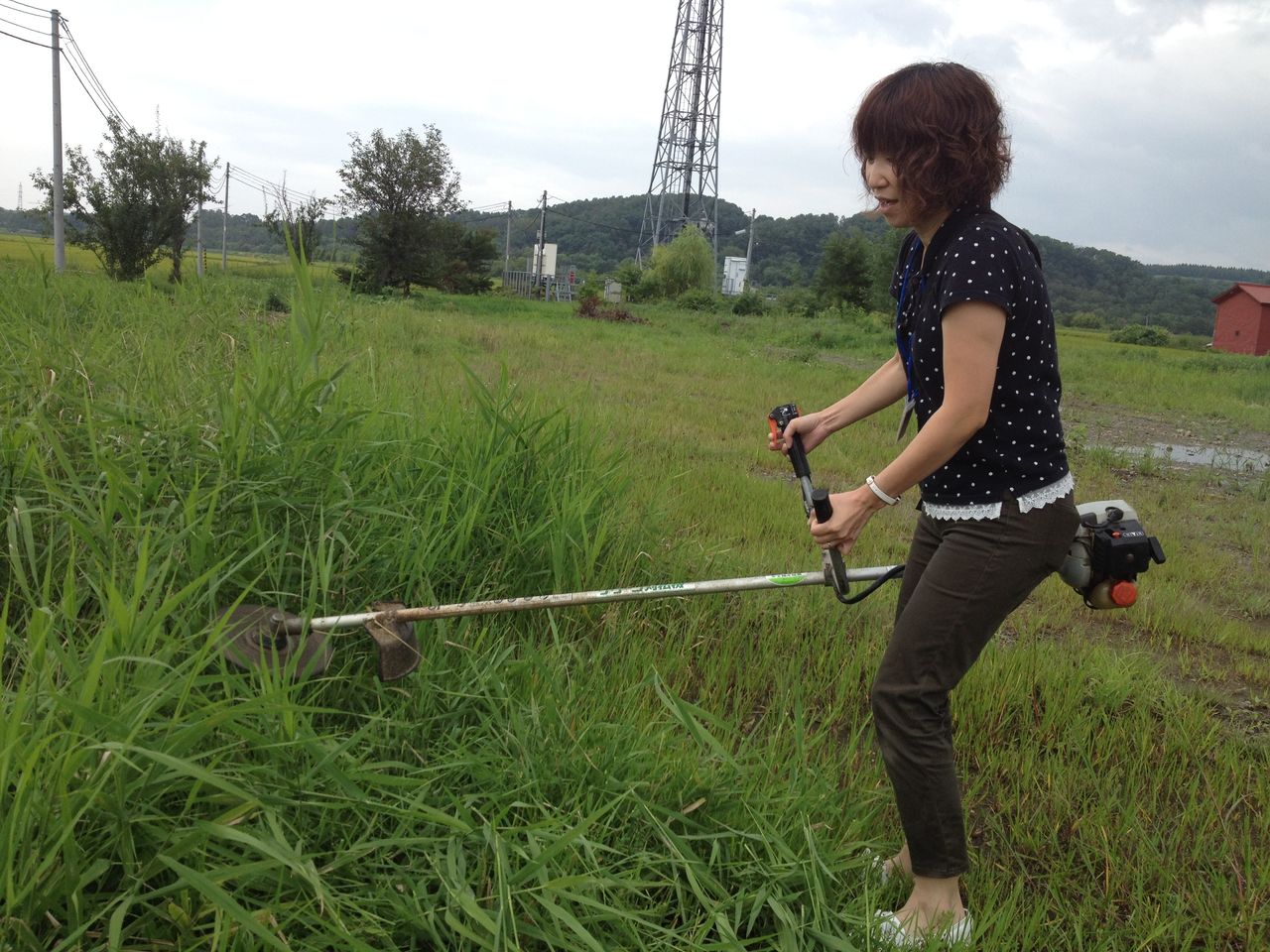 幻の漆喰と音響熟成木材と素敵なタイルのお家 こっそり大工に学ブログ おつ姫の突撃現場リポート 幻の漆喰と音響熟成木材と素敵なタイルのお家 こっそり大工に学ブログ おつ姫の突撃現場リポート