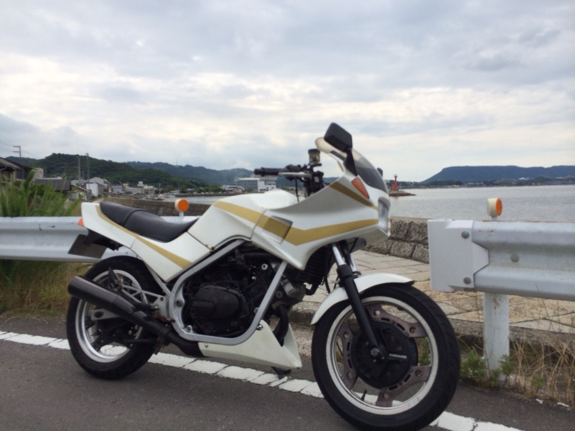 VT250FC 純正 アンダーカウル | energysource.com.br