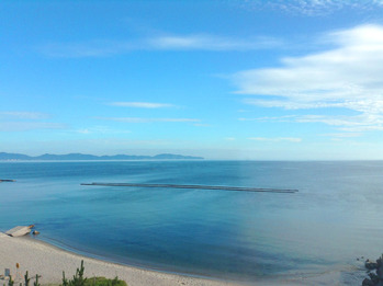 ���͸���