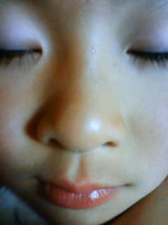 だんごっぱな ながチャレｖｏｌ４ パルコフォルゴレになりたくて