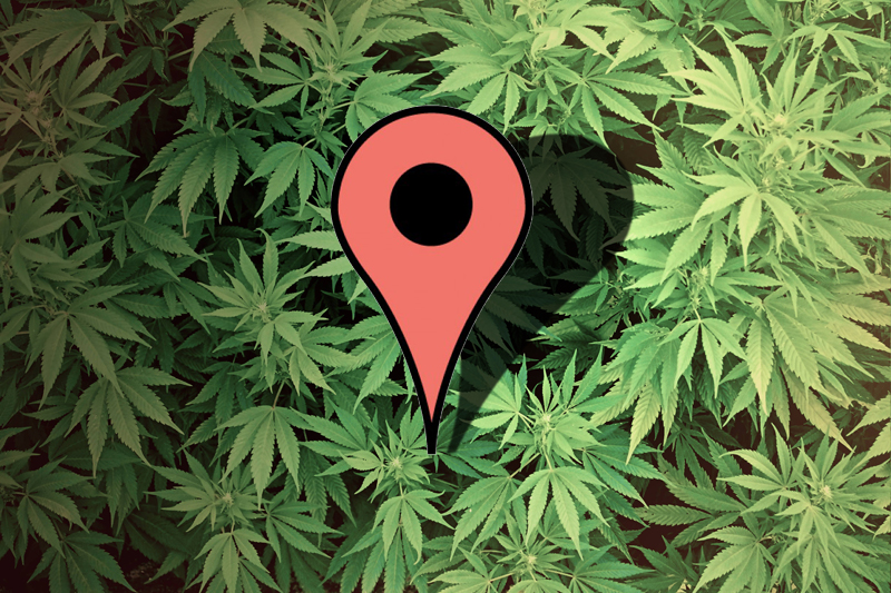 珍ニュース グーグルアースで大麻畑が発見 栽培者が逮捕 ラストダンスはブンバイバイ 珍ニュース グーグルアースで大麻畑が発見 栽培者が逮捕 ラストダンスはブンバイバイ