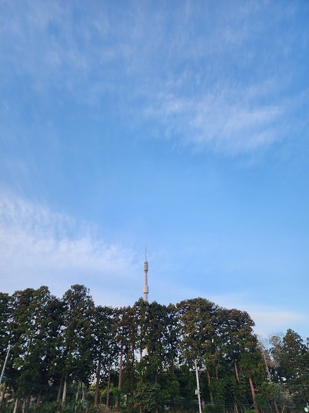 20230410_053347