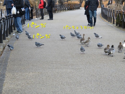 IMG_8881-1